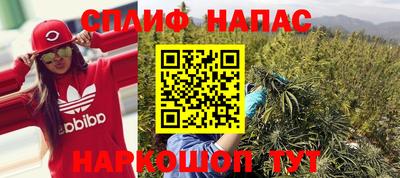 молекула духа Партизанск