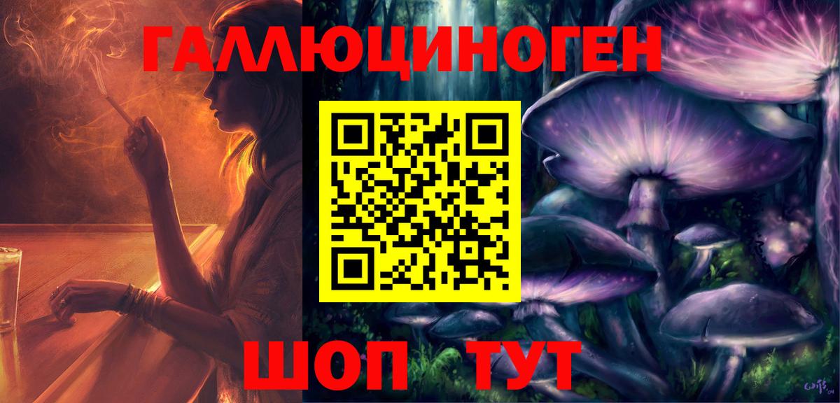 Сунжа  наркотики  Вход с VPN  Псилоцибиновые грибы Magic Shrooms  Псилоцибиновые грибы мухоморы 