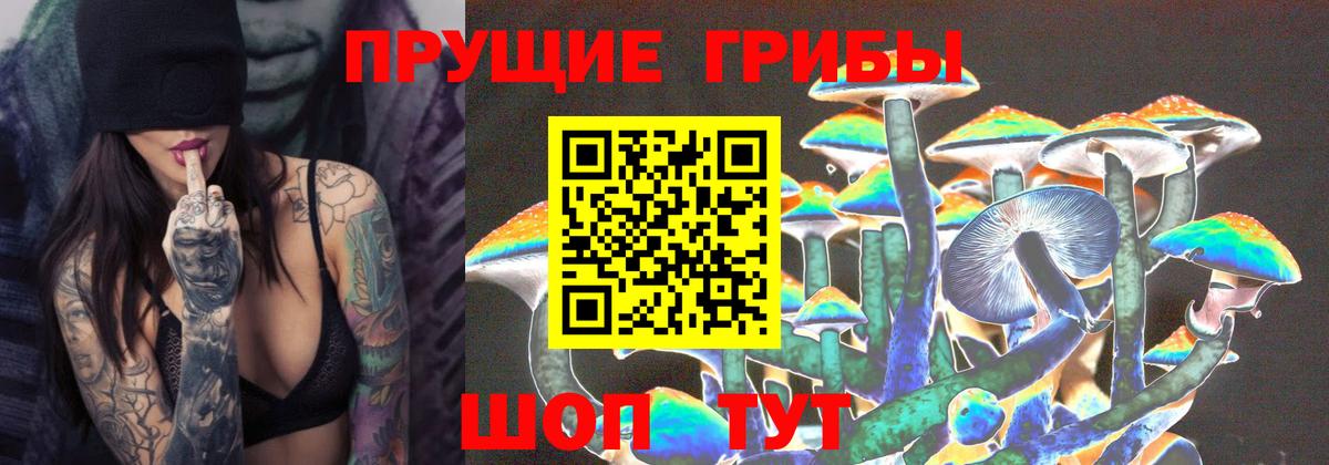 Галлюциногенные грибы ЛСД Сунжа