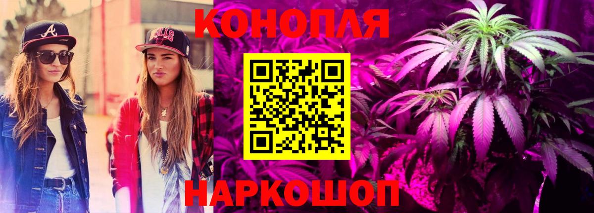 Марихуана сатива  Бошки Шишки индика  Сунжа  Канабис планчик  Марихуана план  Вход с VPN 